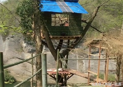 十大最适合农村创业项目,最新适合农村的五个创业项目