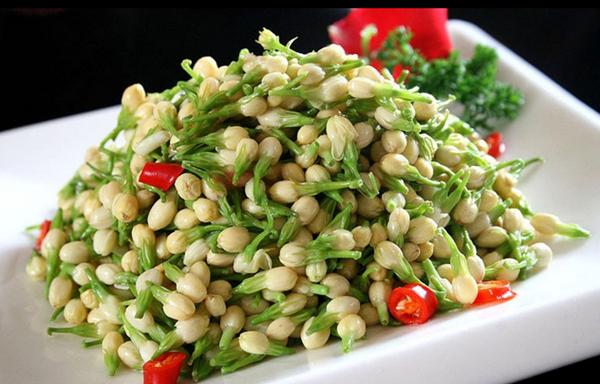 农村伯伯买回一株红色栀子花,侄女却要吃了它,原来栀子花真能吃