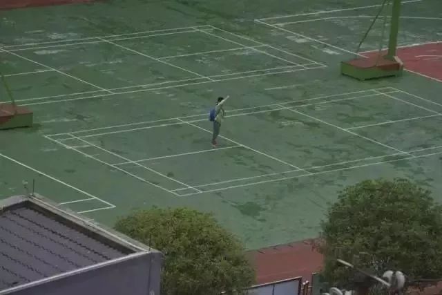 男子践踏烈士墓被处罚,男子辱国旗被拘留后续