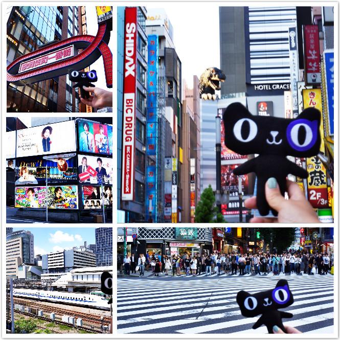 日本东京图鉴,东京图鉴