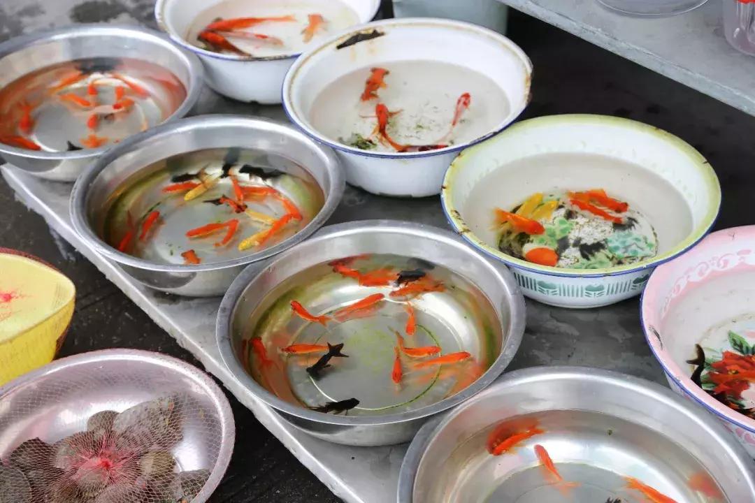 象山老县城,象山变迁