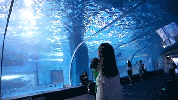 广州户外亲子游玩好去处,广州适合亲子旅游的地方