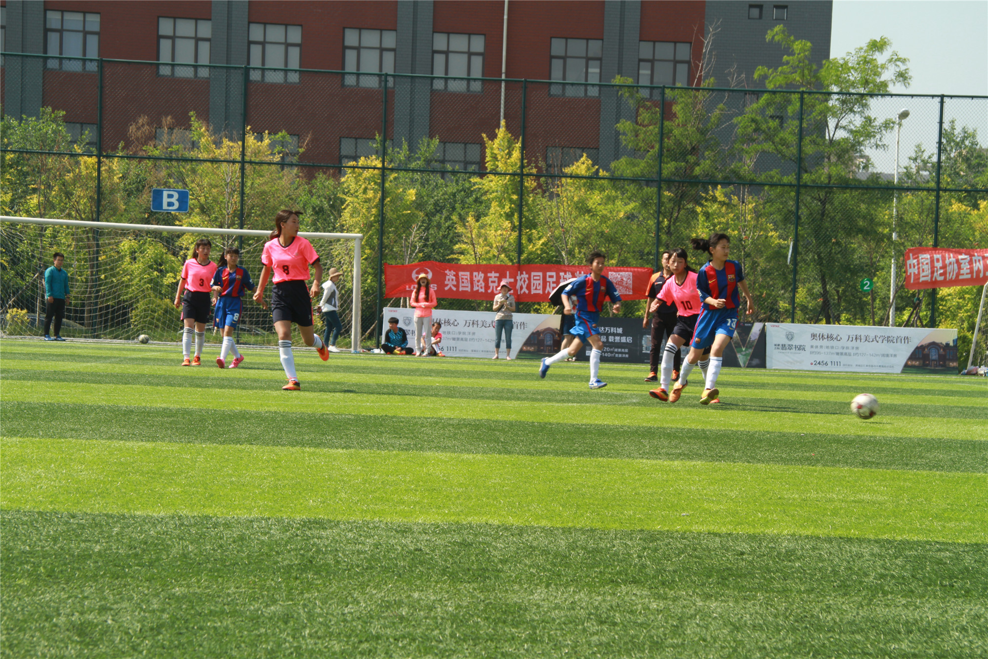 法库卧牛石小学足球,卧牛石乡中心小学足球