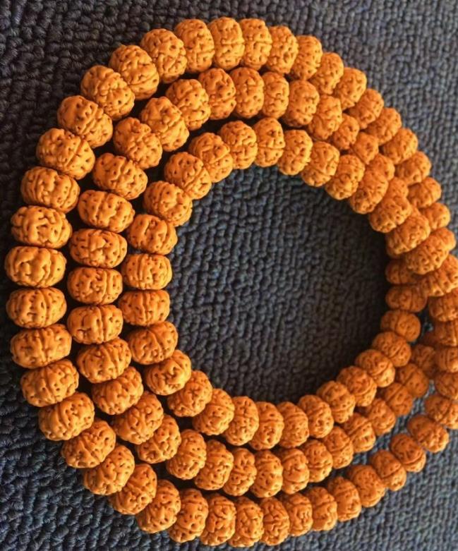 小金刚菩提价格如何判定,小金刚菩提瓣数