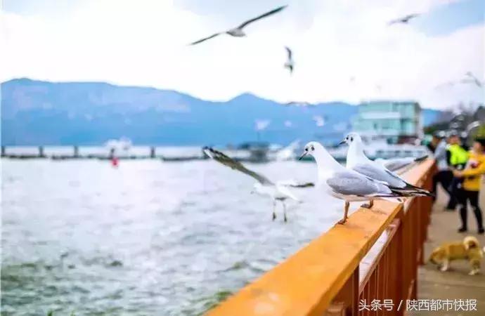 定了!西安首开至昆明动车,只需10小时!