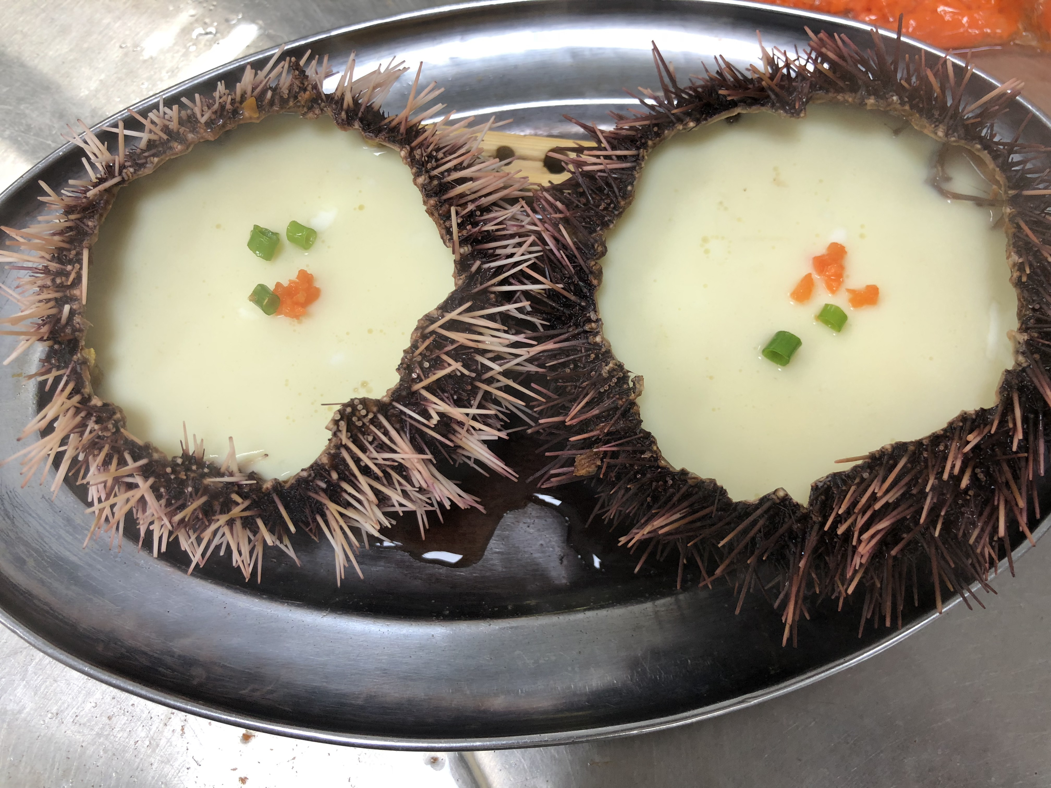 大玲子和爸妈去旅行三亚,带家人去三亚玩都不满意