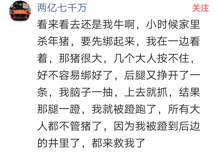被骂小畜生怎么回怼,被家里人骂畜生