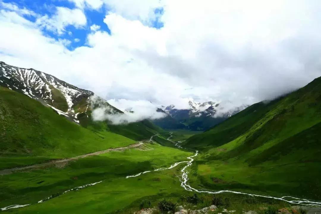 他用对葡园的爱拍出了这片人间仙境