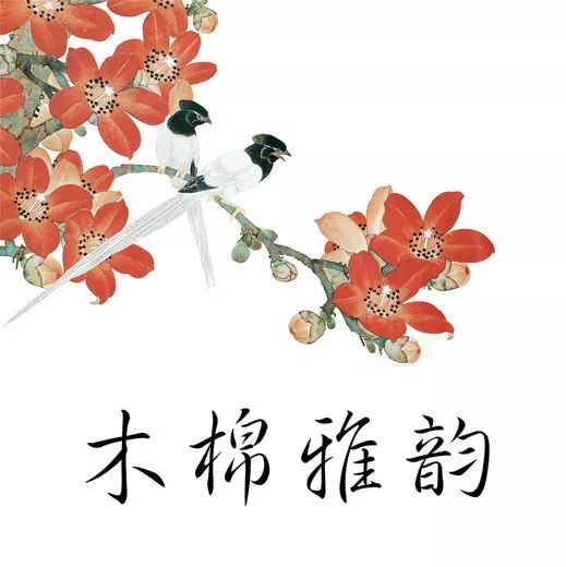 便秘严重喝的茶,一种很苦的茶改善便秘