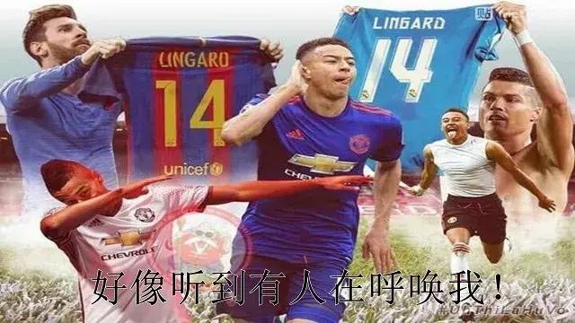 走进世界杯：我们是三狮军团喵喵喵