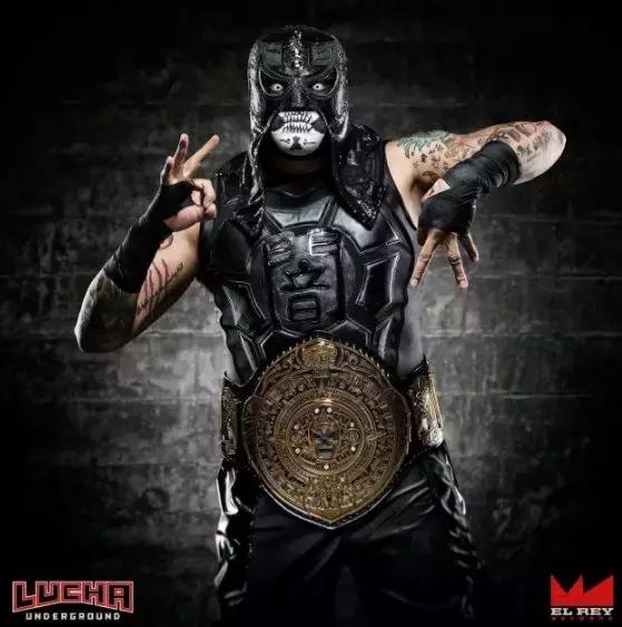 wwe最帅服装,罗曼雷恩斯不穿防弹衣