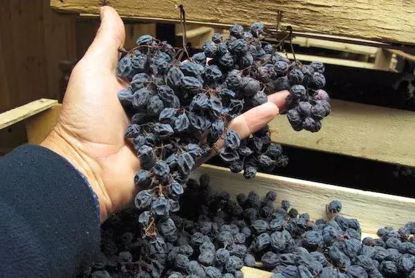 意大利阿玛罗尼五大顶级酒庄,意大利阿玛罗尼干红葡萄酒价格