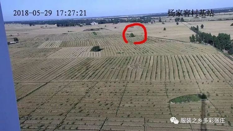 视频监控到底有多清晰?全县覆盖!你还敢以身试法吗?