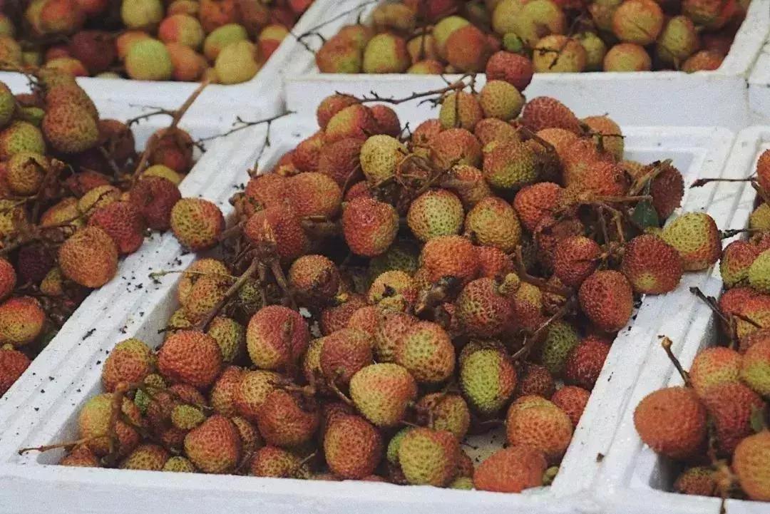 杭州必逛的四条巷子,去杭州必打卡地排行榜