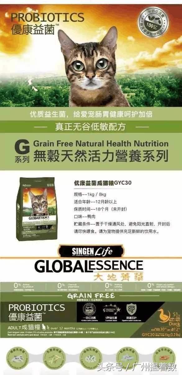 铲屎官的避难所,铲屎官记录主子的日常