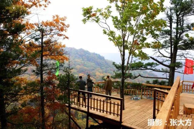 迷人的哈尔滨之夏万达实景,迷人的哈尔滨之夏