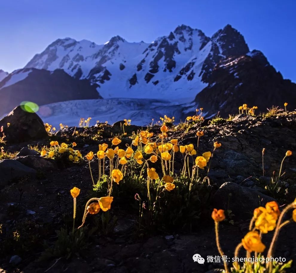 博格达雪峰,博格达峰雪山