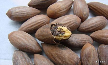 从武汉坐高铁到黄山,武汉去黄山的高铁有哪些