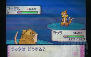 精灵宝可梦游戏可以选世代,精灵宝可梦游戏盘点冰系道馆