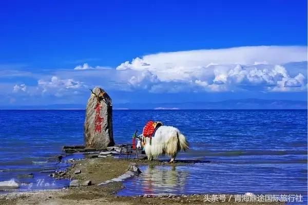 2019年鼎途国旅带您游西北