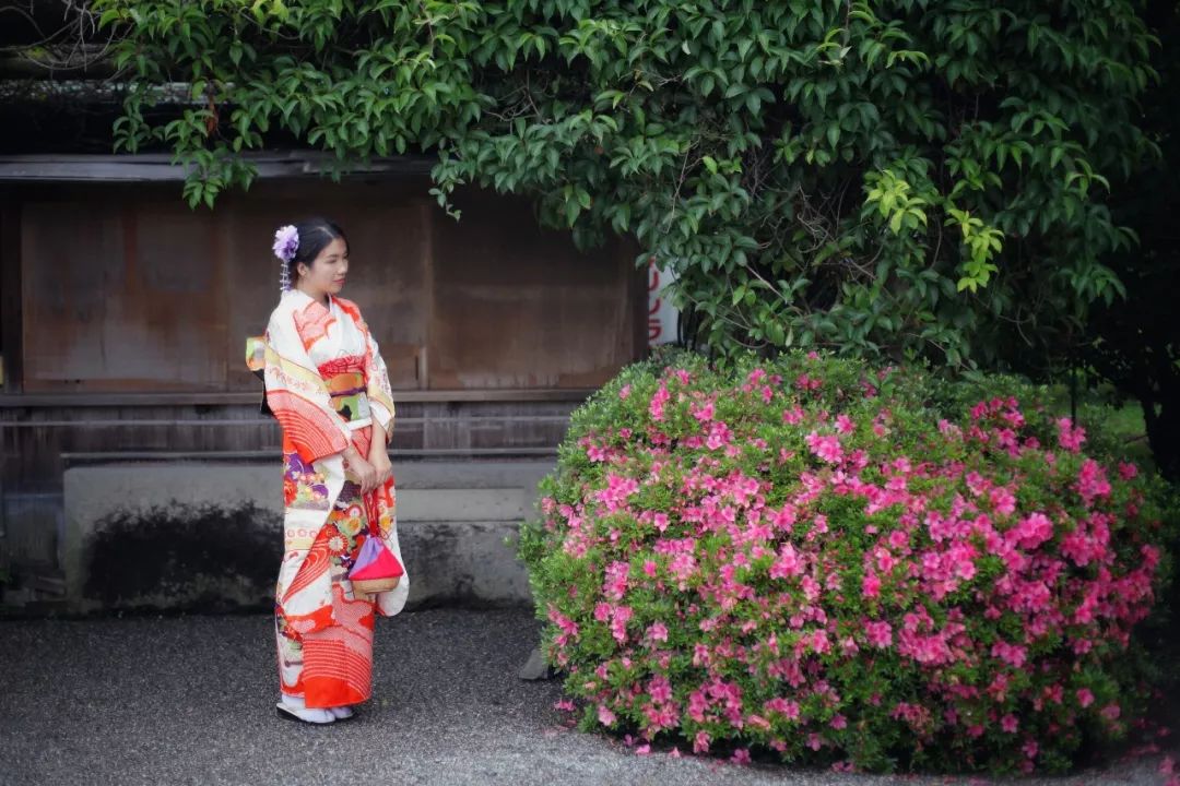 日本的这个地方，很少有中国游客，超级文艺治愈系！