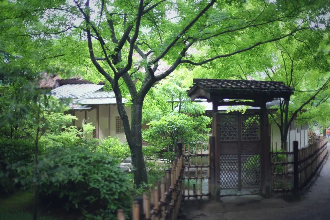 五天四晚适合去哪玩,适合五天四夜清静的旅行