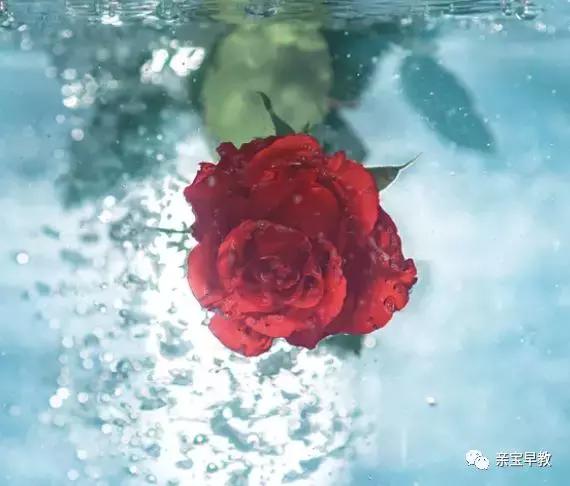 作业辅导班怎样让孩子写作业快,辅导孩子写作业补习班需要啥