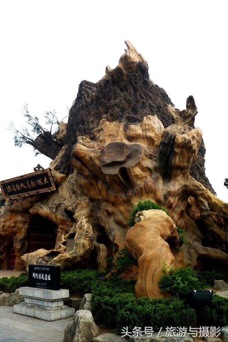 洪洞大槐树祭祖大典,洪洞大槐树迁出的姓氏