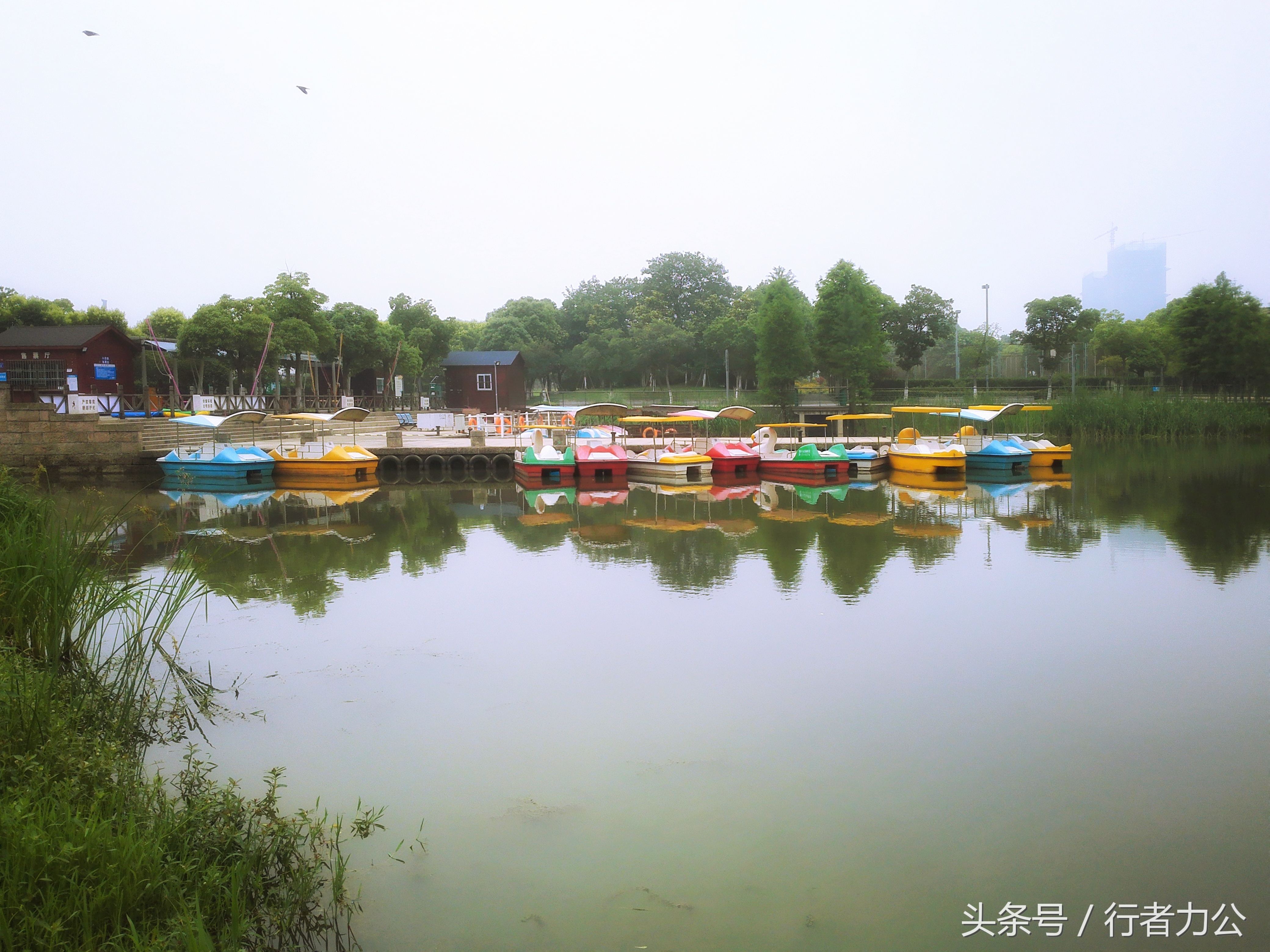 尚贤河湿地公园攻略,尚贤河湿地景点