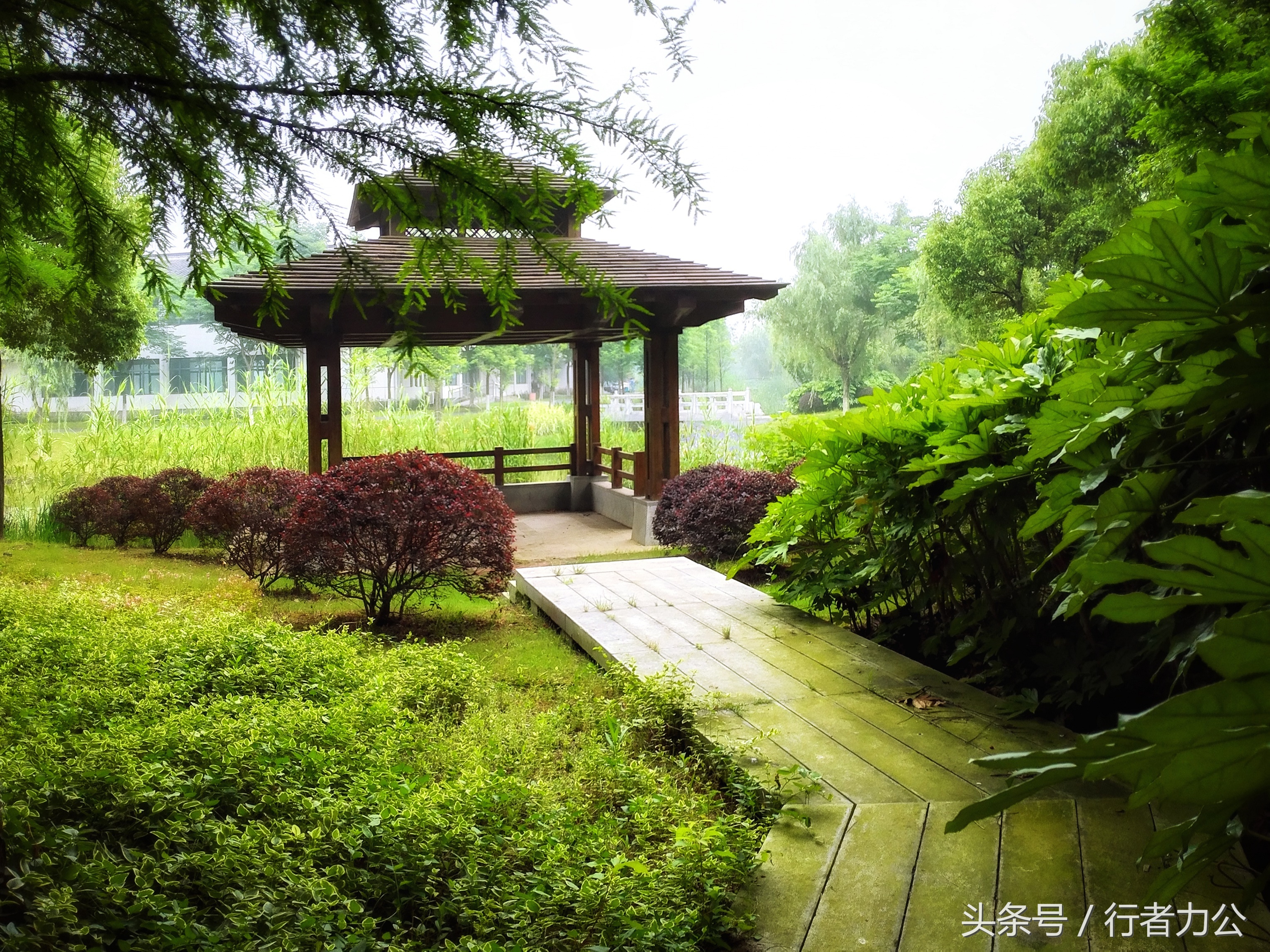 尚贤河湿地公园攻略,尚贤河湿地景点