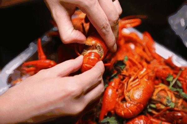 圣夏夜狂欢季｜音乐热舞、冰啤球赛全免费，欢乐夜场卡限量抢！