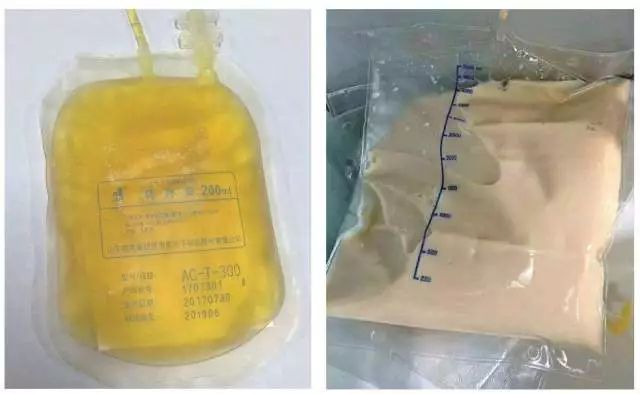 中国海关携带药品出境,海关查获入境人体血液样本