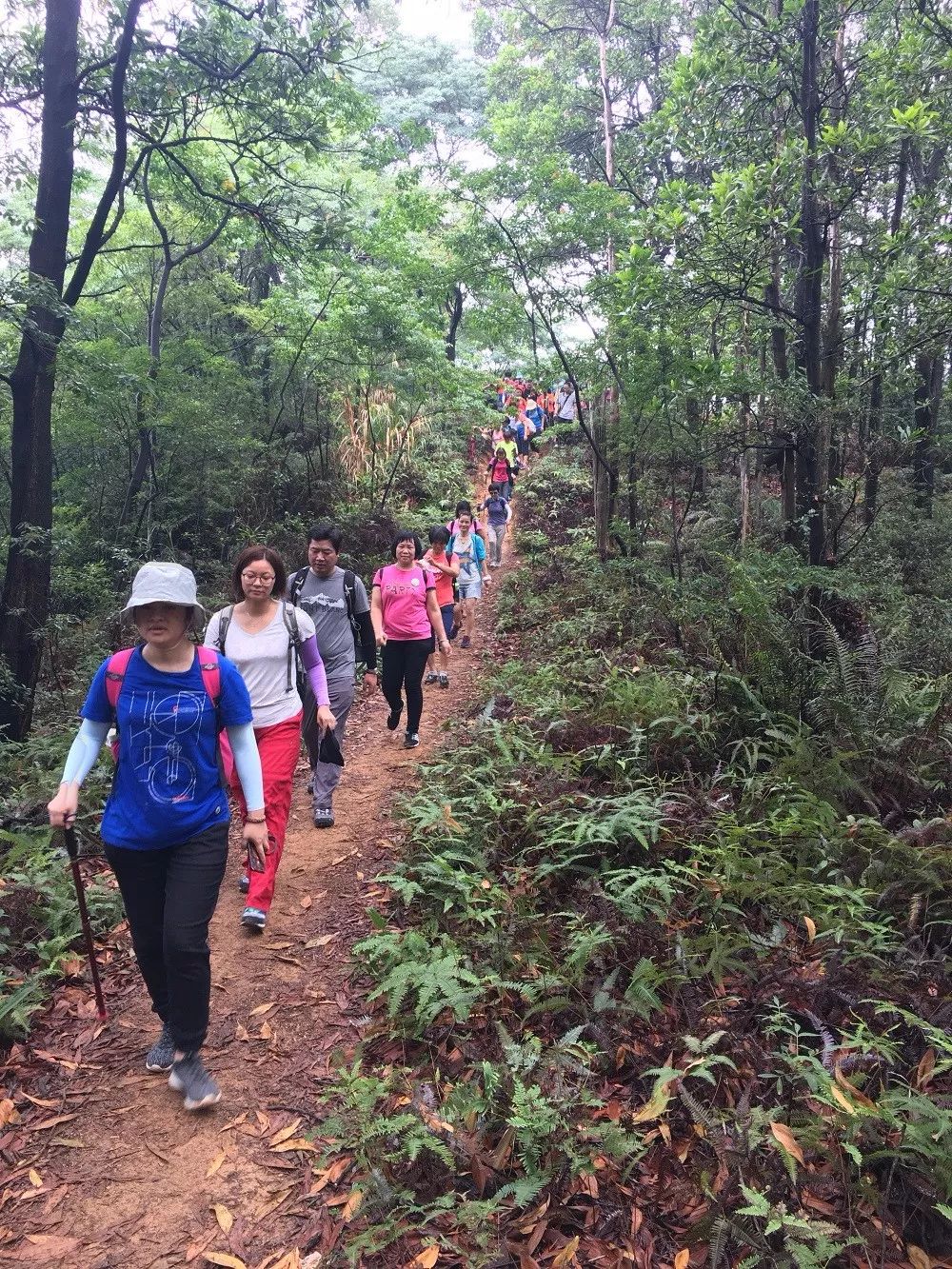 号外号外活动来袭,号外号外活动