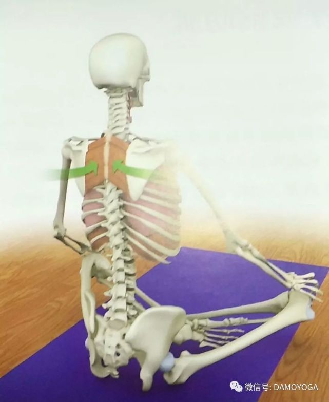 呼吸浅快的处理方法,呼吸太短太浅正确呼吸方式