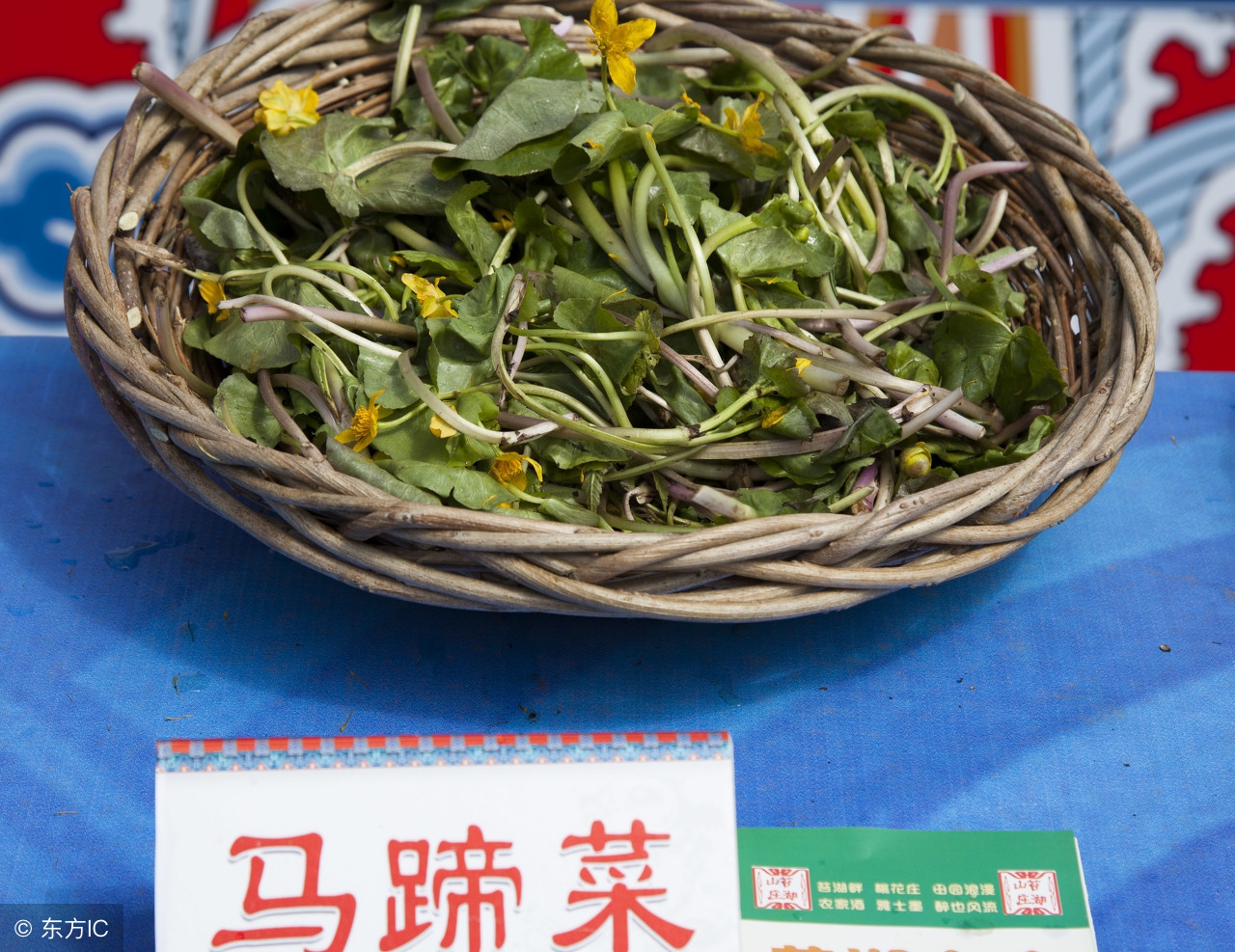 野生冬虫夏草美食,冬虫夏草野生土特产
