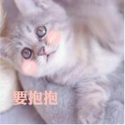 自由幻想宠物技能培育技巧,自由幻想宠物技能