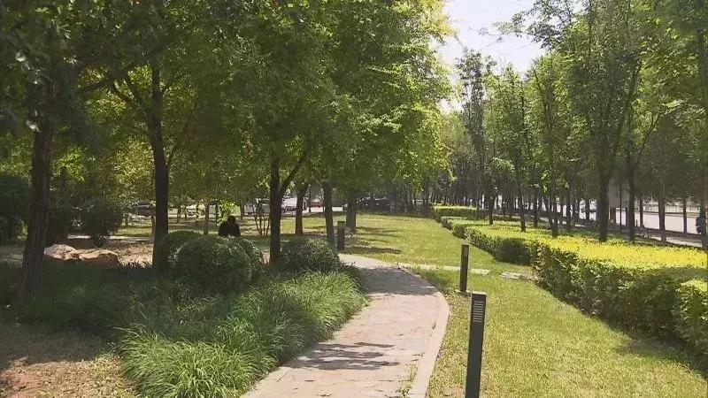 沈阳广电辽宁经济频道,沈阳广电融媒新闻