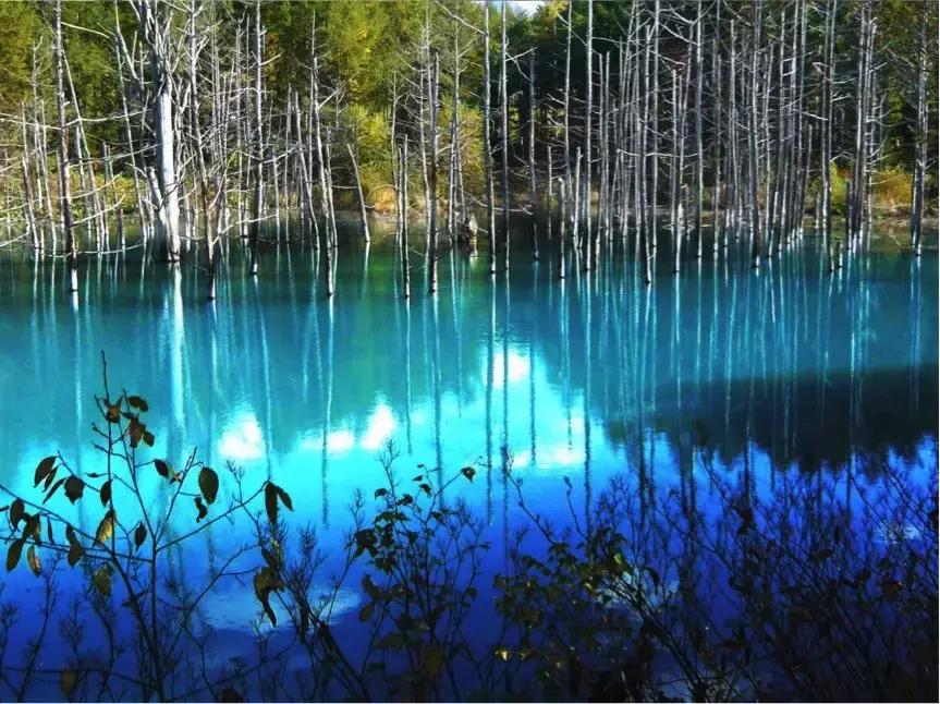 日本爸爸带全家游,带父母去日本旅游趣事