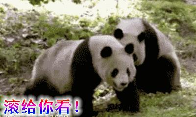 你给我滚出来表情包搞笑图片,给我滚表情图