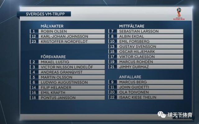 俄罗斯世界杯32强分布图,俄罗斯世界杯巴西名单