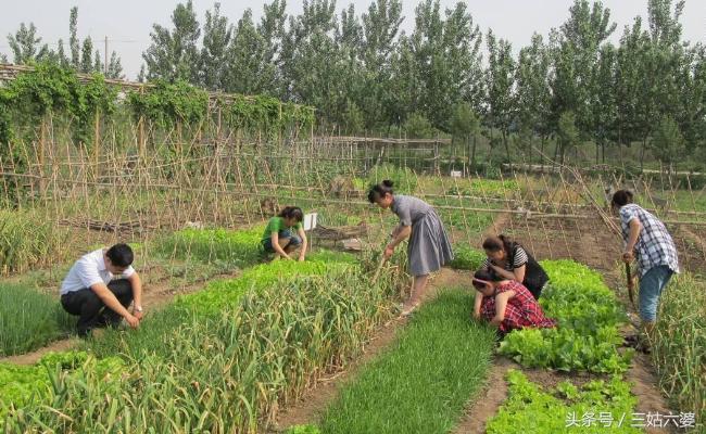 适合穷人的18个创业加盟项目农村,农村创业做什么最适合赚钱