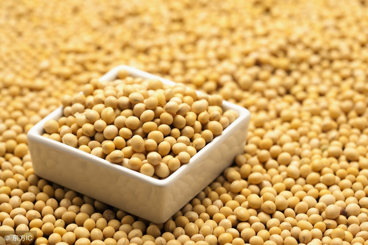 肌无力患者饮食上要注意什么,肌无力禁止吃的食物