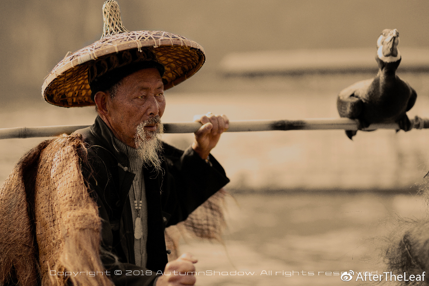 鎽勫奖鍓緫鑷鍏ラ棬,鍓槧鎽勫奖鍏ラ棬鏁欑▼