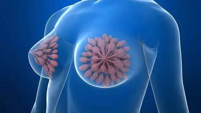 雌激素是让你“逆生长”还是让“癌生长”?内分泌专家为你揭秘!