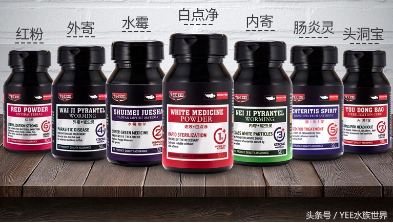 鱼缸里的水没有鱼能除硝化细菌吗,硝化细菌分解鱼粪残留鱼缸