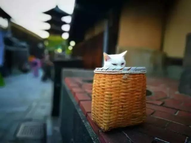 他放弃令人艳羡的工作，用摄影支持旅行梦想