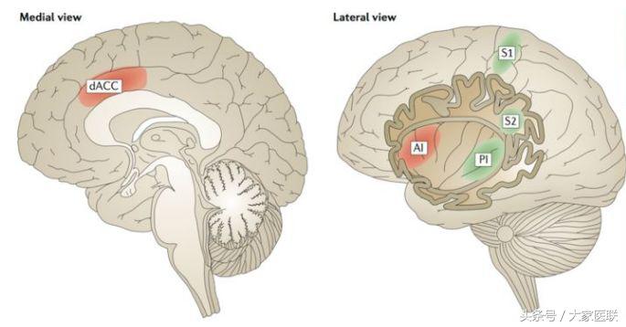 男朋友结婚了新娘不是你？心痛痛到心碎？你的心可能真的会碎！