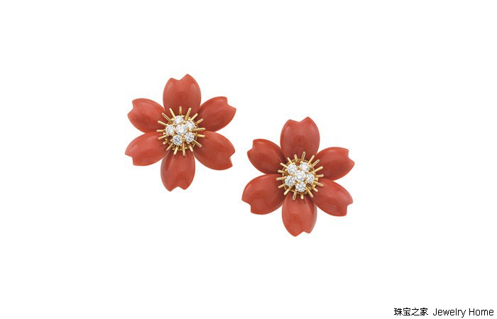 红珊瑚和阿卡沙丁哪个好,阿卡沙丁momo区别