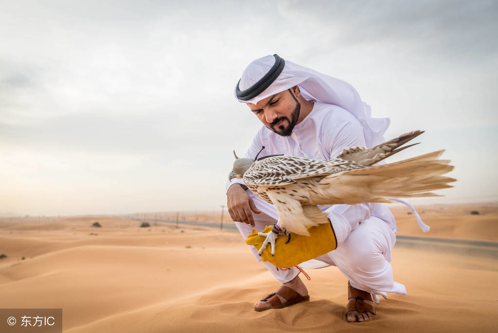 人教版七年级上地理必背知识点,七年级下地理必背知识点pdf