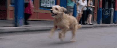 敲可爱的头衔,敲可爱头衔